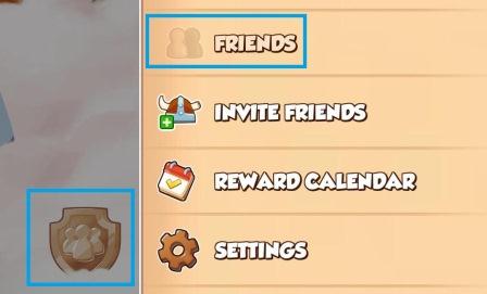 Coin Master Teams and Friends Not working