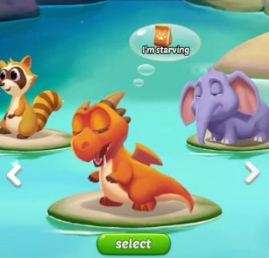 Crazy Fox Big Win Pets Guide